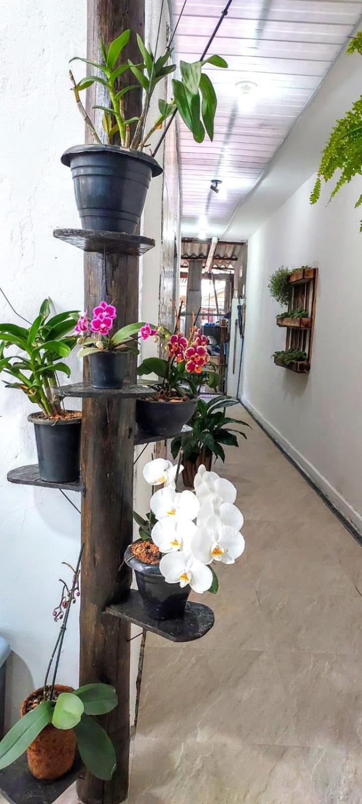 Casa Canto E Aconchego Florianópolis 外观 照片